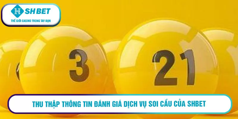 Đánh giá dịch vụ soi cầu của SHBET với 5 bước nhanh chóng 2 Thu thập thông tin đánh giá dịch vụ soi cầu của SHBET